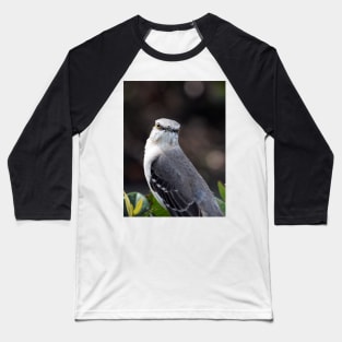 Looking at Me? Baseball T-Shirt